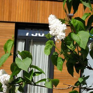 Appartement op de Begane Grond